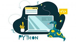 python-programing